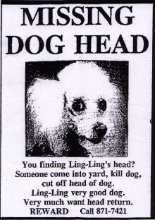 Missing Dog Head